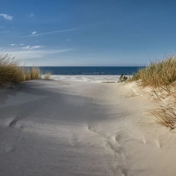 Strand met blauwe lucht