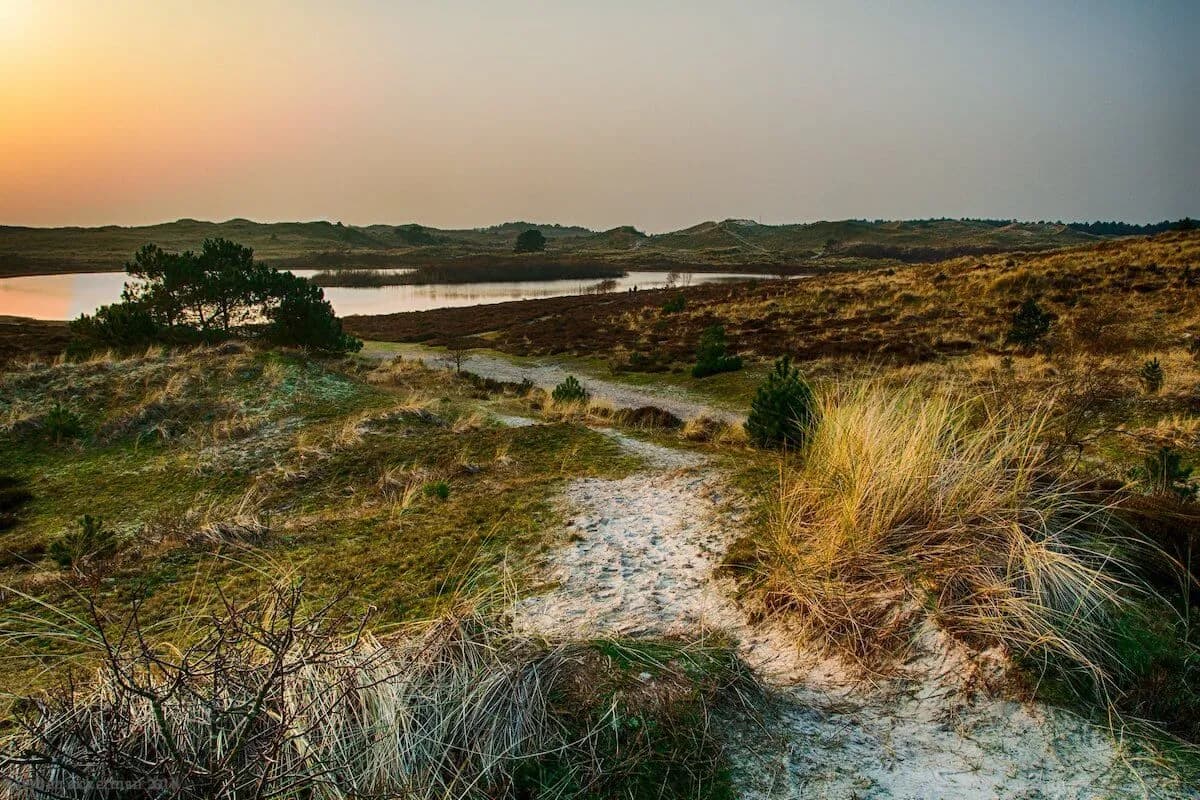 Dune path